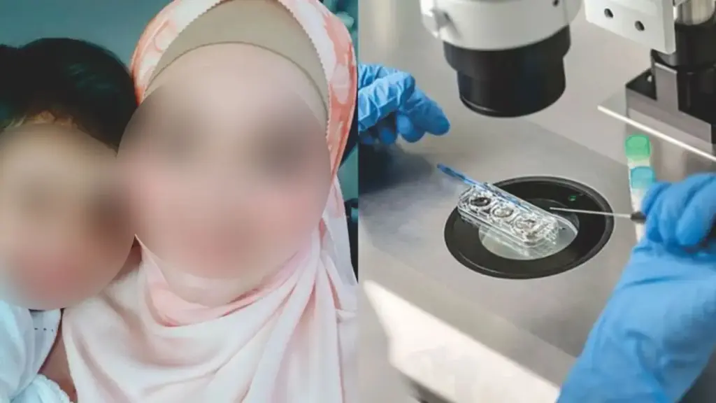 apa itu rawatan ivf